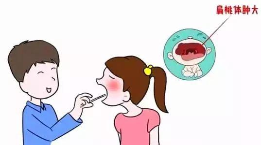 长春最新开学，自然美景中的探索之旅启动时刻