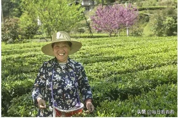 湖北盐改最新消息新闻更新