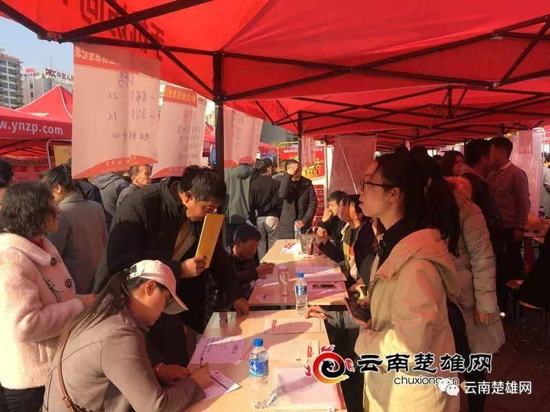 楚雄州委最新人事公示与小巷深处的独特风味揭秘