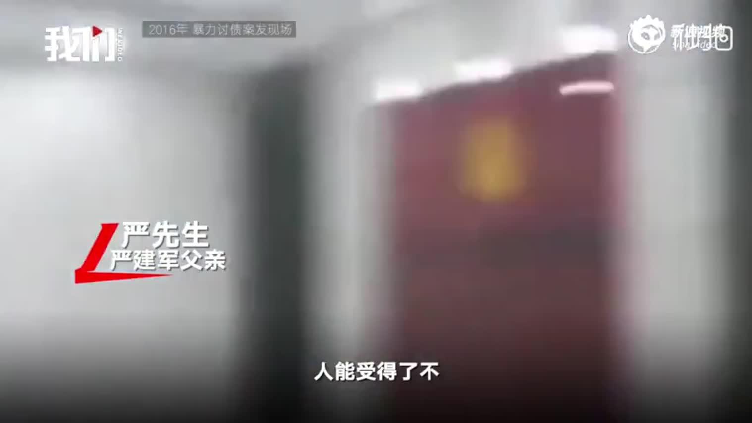 山东于欢最新消息视频，心灵觉醒之旅与幽默相伴的独特体验